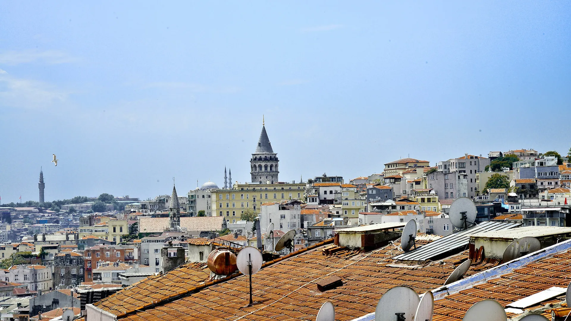 Cozy Flats Studio Isztambul
